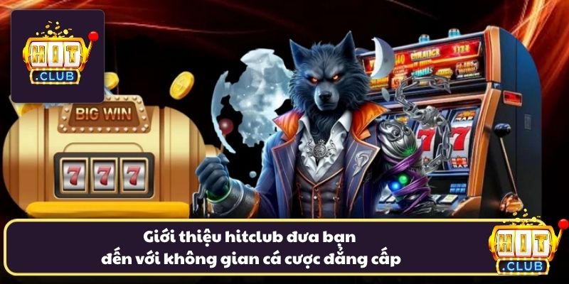 Giới thiệu hitclub đưa bạn đến với không gian cá cược đẳng cấp Giới thiệu hitclub đưa bạn đến với không gian cá cược đẳng cấp