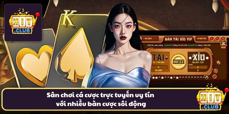 Sân chơi cá cược trực tuyến uy tín với nhiều bàn cược sôi động Sân chơi cá cược trực tuyến uy tín với nhiều bàn cược sôi động